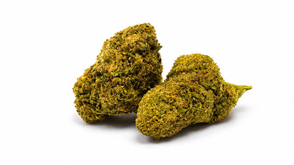 White Widow  – CBD + CBG 18% | Cannabis Light | Indoor