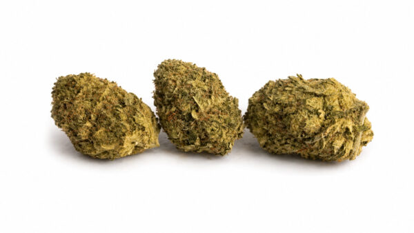 Blue Dream CBD + CBG 24% ~ Cannabis Light | Indoor